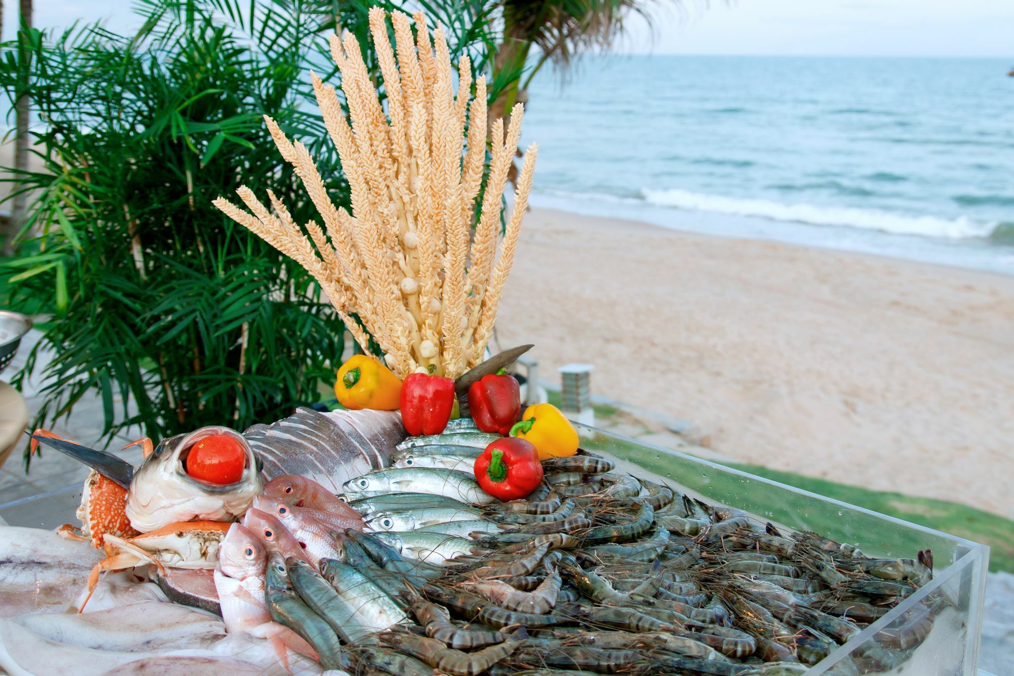 Villa Del Sol Beach Resort & Spa Phan Thiet Exterior photo